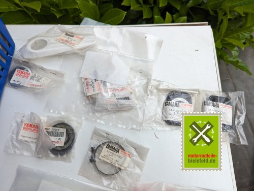 PXL_20240527_152608619